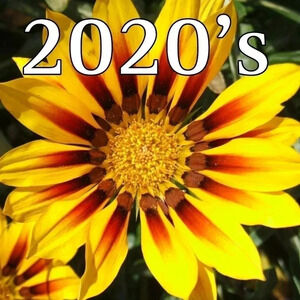 The  2020's